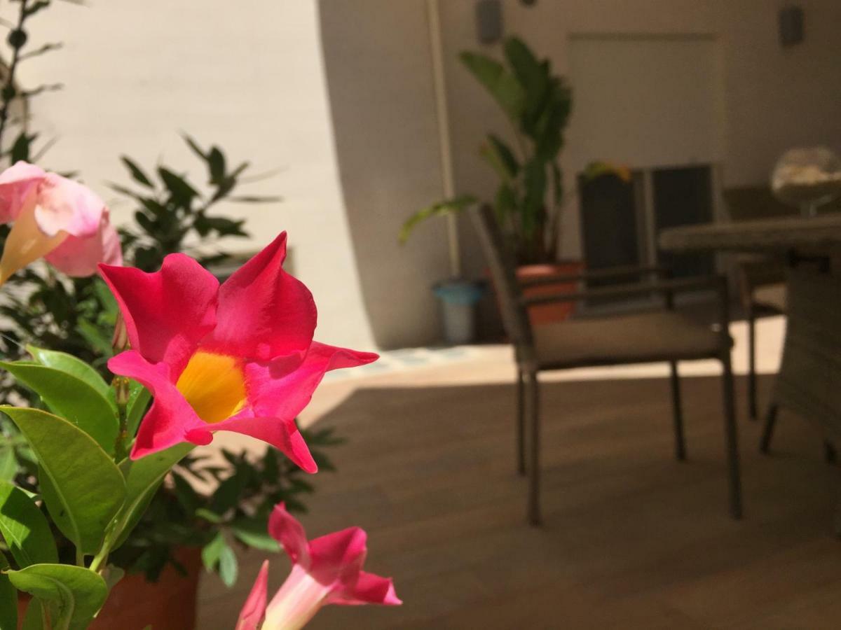 莫诺波利Casa Roberta住宿加早餐旅馆 外观 照片